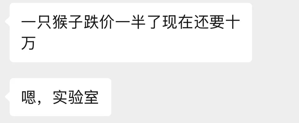 有朋友两年前和我说——他要去养猴子去了