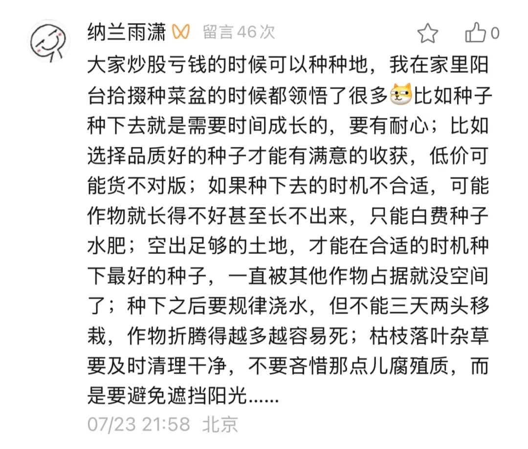 种子种下去需要时间成长,要有耐心…拾掇菜盆子的过程中领悟了很多